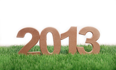 bonne année 2013