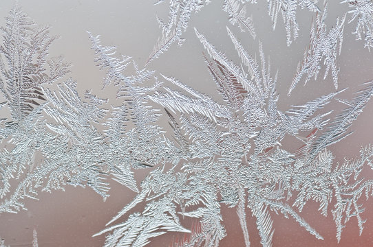 Eisblumen 12.22