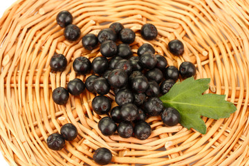 chokeberry with green leaf on wicker mat close-up