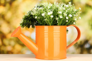 Decorative flowers in watering can on bright background