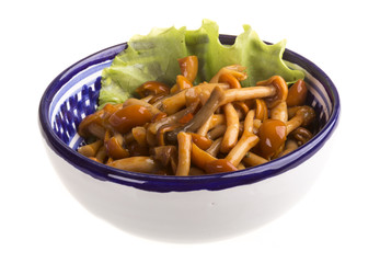 agaric honey at plate