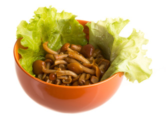 agaric honey at plate