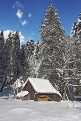 Hut in snow