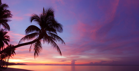 Panorama of tropical sunset with palm tree silhoette at beach