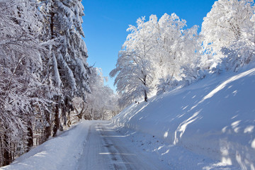 Winter, Schnee, Frost, Baum,  Berg, Straße