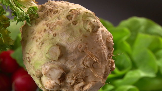Celery root (Apium graveolens), studio shot