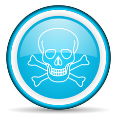 skull blue glossy icon on white background