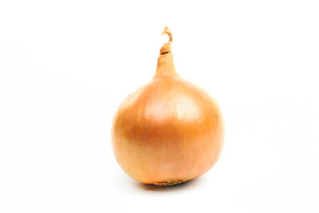 One ripe golden onion