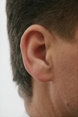 Das Ohr eines Mannes als Symbol für Kommunikation.