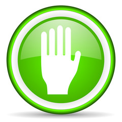 stop green glossy icon on white background