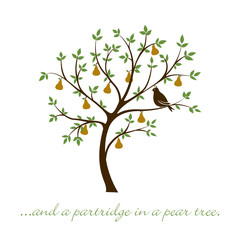 Partridge in a pear tree Christmas card in vector format. - obrazy, fototapety, plakaty