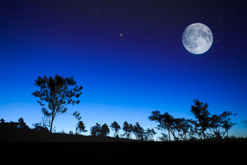 Night sunrise landscape with the moon, trees silhouette, stars