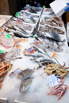 fresh cool fish on ice at street market