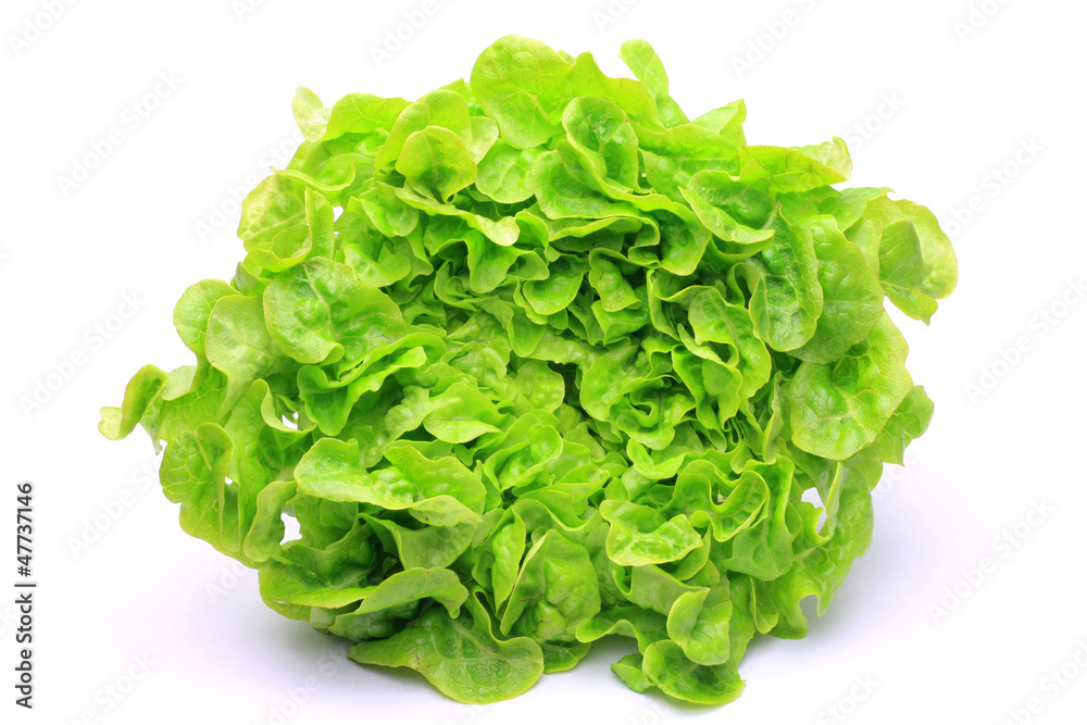 Canvas Prints one cut lettuce