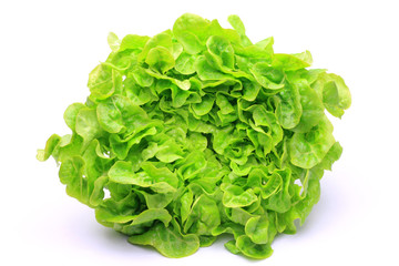 one cut lettuce