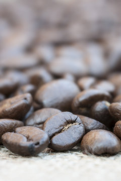 Macro life size close up of coffee beans