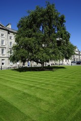 Trinity College (Dublin)