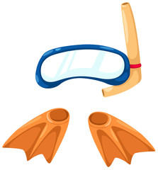 snorkeling equipment and flippers vector