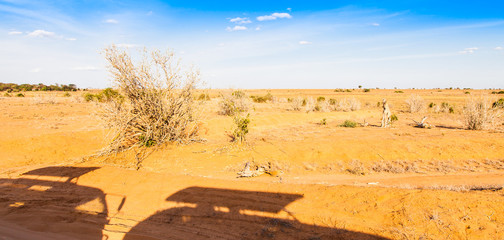 Safari Vehicles silhouettes