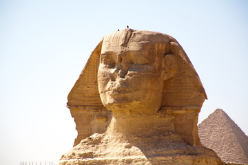 Fototapeta na wymiar Egipt - Kair