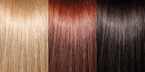 Example of different hair colors