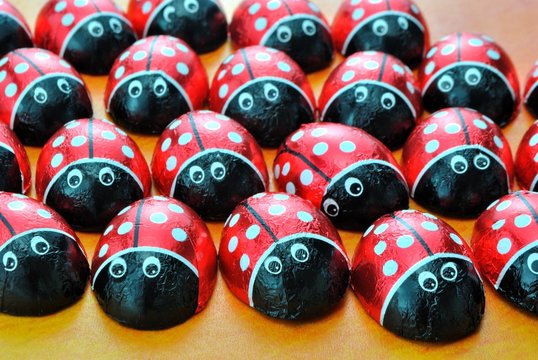 Coccinelle di cioccolato