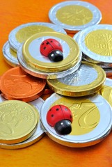 Monete con coccinelle