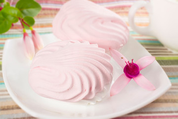 pink zephyr on a plate