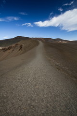 walk path
