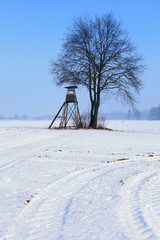Winter landscape © Stanisław Błachowicz
