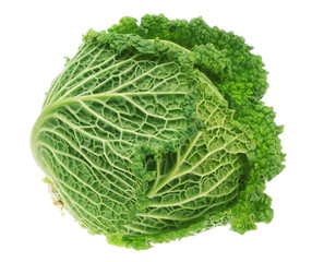 Fresh green head of cabbage. On a white background.