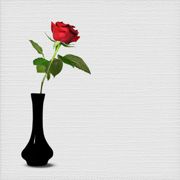 Long Stem Red Rose