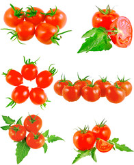 Collection of ltomatoes with green branch.Isolated