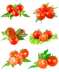 Collection of ltomatoes with green branch.Isolated