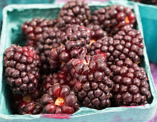 Red Juicy Boysenberries