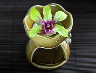 green orchid on aroma oil container
