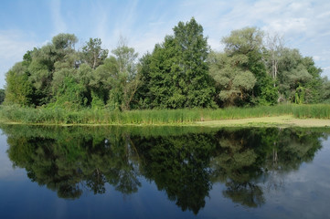 river, trees and cloudy sky