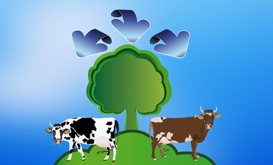 Ecology concept.Healthy food and drink