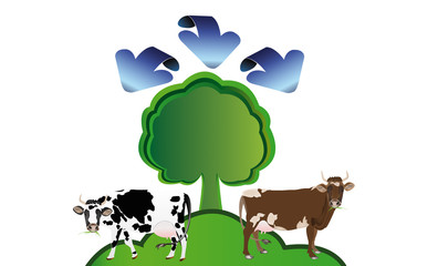 Ecology concept.Healthy food and drink