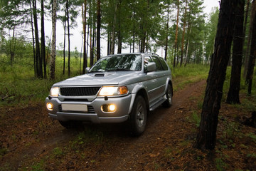 Plakat Car in forest