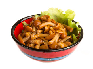 agaric honey at plate