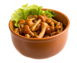 agaric honey at plate