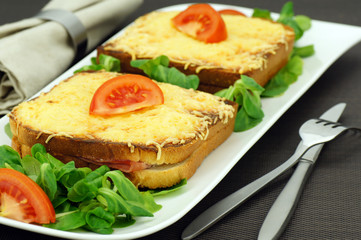 assiette de croque monsieur 3