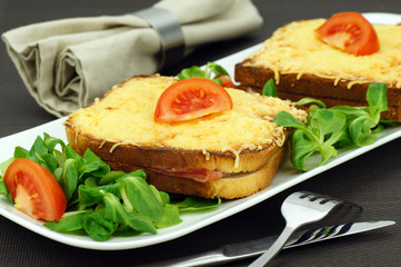 assiette de croque monsieur 4