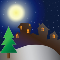 Fototapeta premium House on christmas day