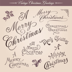 Vintage calligraphic Christmas greetings, vector