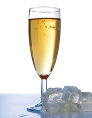  glass of champagne