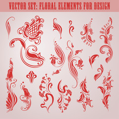 Vector set of floral elements