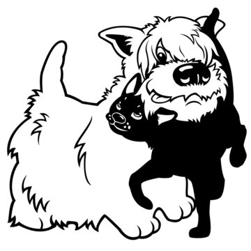 cartoon west terrier and  black cat