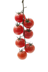 Cherry tomatoes